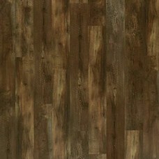 Ginger Oak
